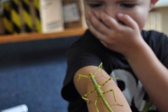 12628393_10154535746427067_6429295411410169067_o