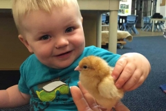 1891176_10156572219850123_7373246972041027252_n